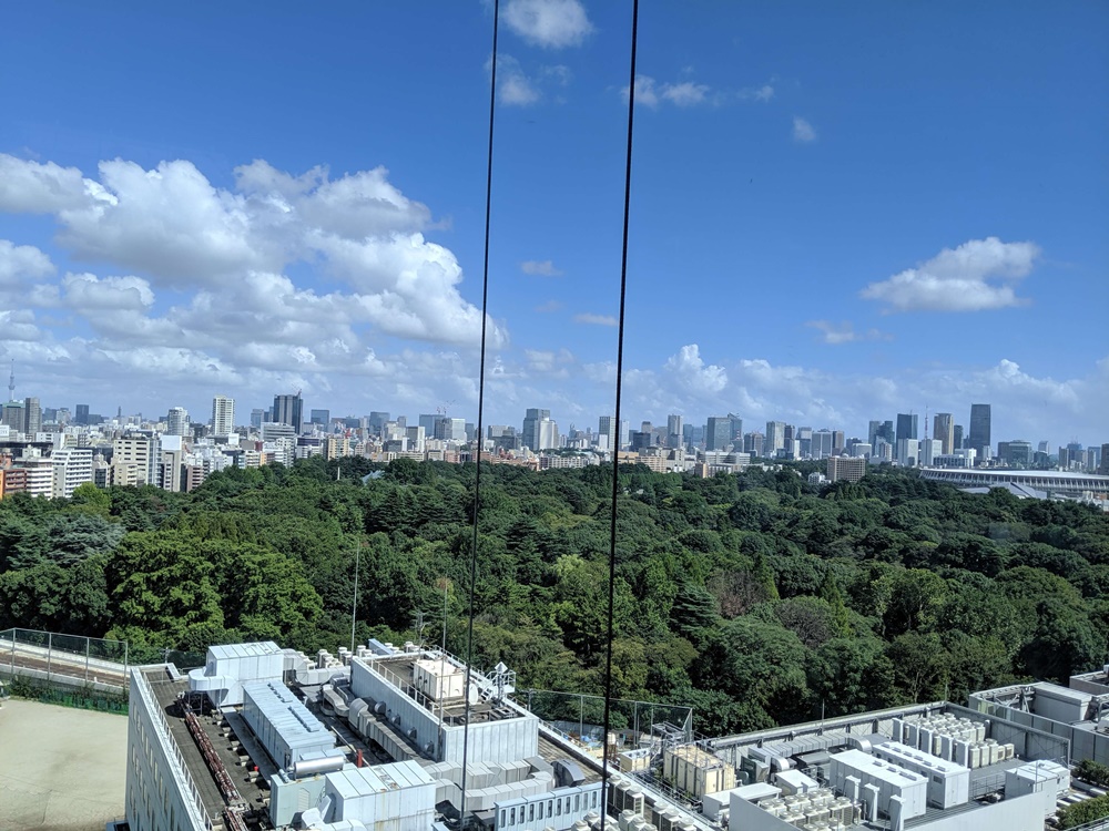 東京市區內超大的森林公園，目測是大安公園的10倍