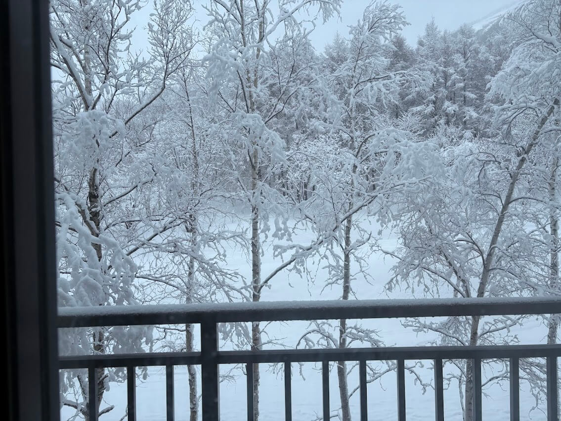 留壽都房間內雪景