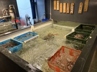 漉 海鮮蒸氣鍋 海鮮區