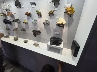 黃金博物館-其他石頭