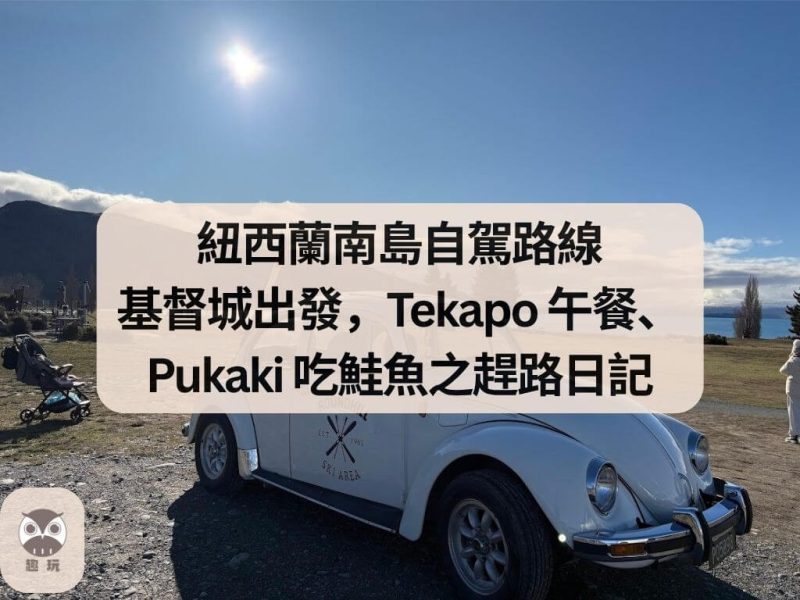 紐西蘭南島自駕路線 基督城出發，Tekapo 午餐、Pukaki 吃鮭魚之趕路日記