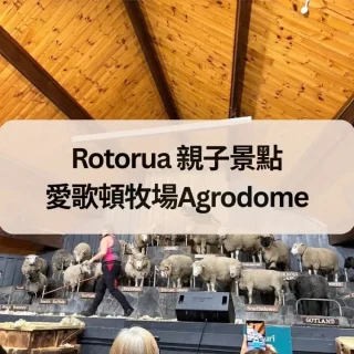 Rotorua 親子景點 愛歌頓牧場Agrodome
