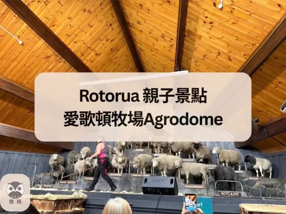 Rotorua 親子景點 愛歌頓牧場Agrodome