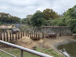 六福村遊園火車導覽1
