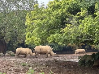 六福村遊園火車導覽3