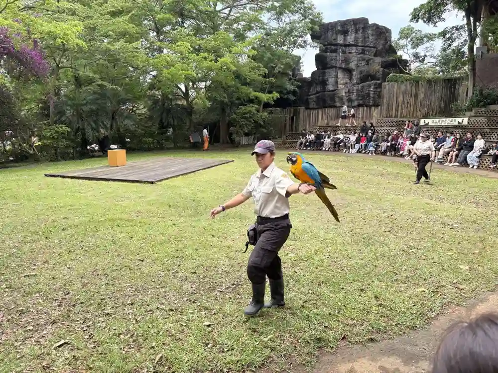 六福村阿拉丁餐廳-動物互動