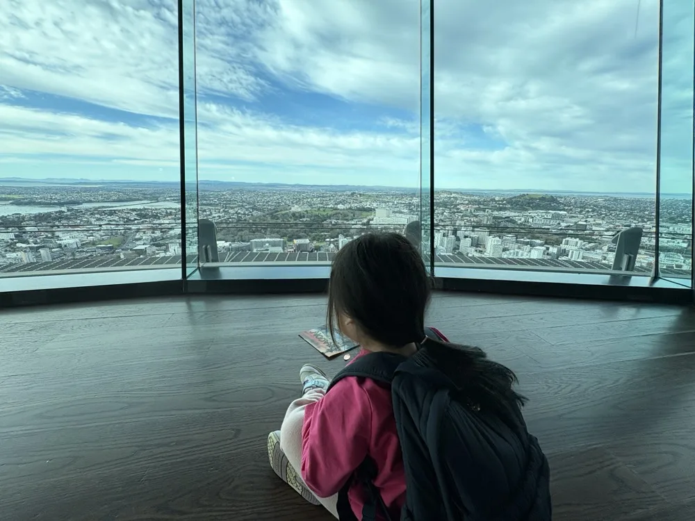 奧克蘭天空塔景觀