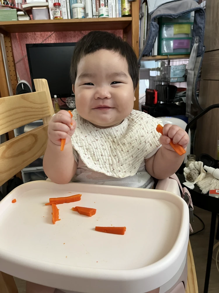 Mamas-Papas-三合一育成椅 餐盤