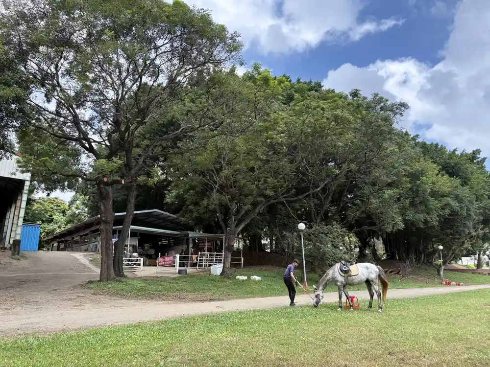 東海大學馬場-照顧馬