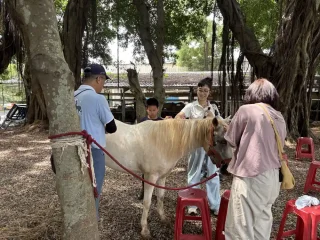 東海大學馬場-馬知識教學