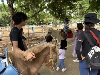 東海大學馬場-騎馬教學-小孩2