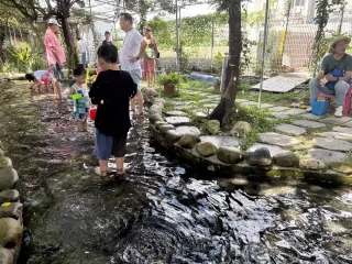 赤腳丫生態農莊-園區-水池