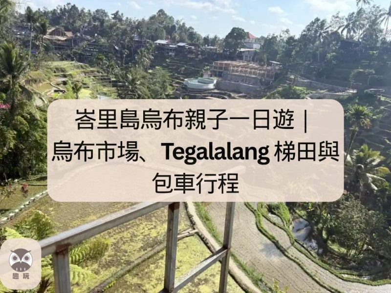 峇里島烏布親子一日遊｜烏布市場、Tegalalang 梯田與包車行程